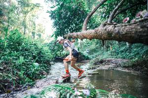 BIB: 
                            <button type="button" onclick="openModal(25433453)" class="btn btn-primary btn-sm float-right btn-popup" data-toggle="modal" data-target=".modal-high-quality">
                        <i class="fas fa-shopping-cart"></i> Add to Cart
                    </button>
                                            <button type="button" onclick="isThisMe(25433453, true)" class="btn btn-success btn-sm float-right btn-popup btn-isme hidden" data-toggle="tooltip" data-placement="bottom" title="นี่คือรูปของคุณใช่ไหม คลิกที่นี่เพื่อเอาเข้าอัลบั้ม">
                        <i class="fas fa-plus"></i> Add to album
                    </button>
                    <button type="button" onclick="isThisMe(25433453, false)" class="btn btn-warning btn-sm float-right btn-popup btn-isnotme hidden">
                        <i class="fas fa-ban"></i> Remove from album
                    </button>